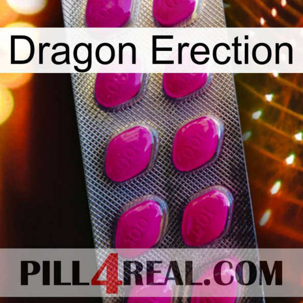 Dragon Erection 09.jpg